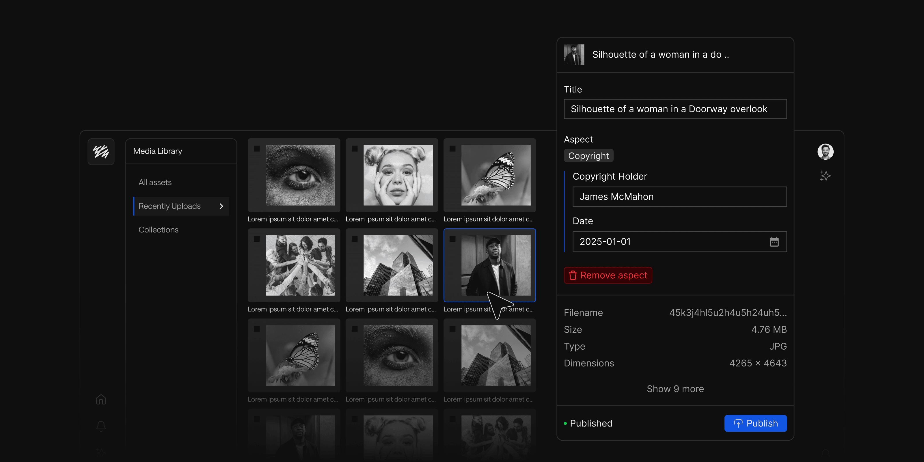 Preview of the Sanity Media Library