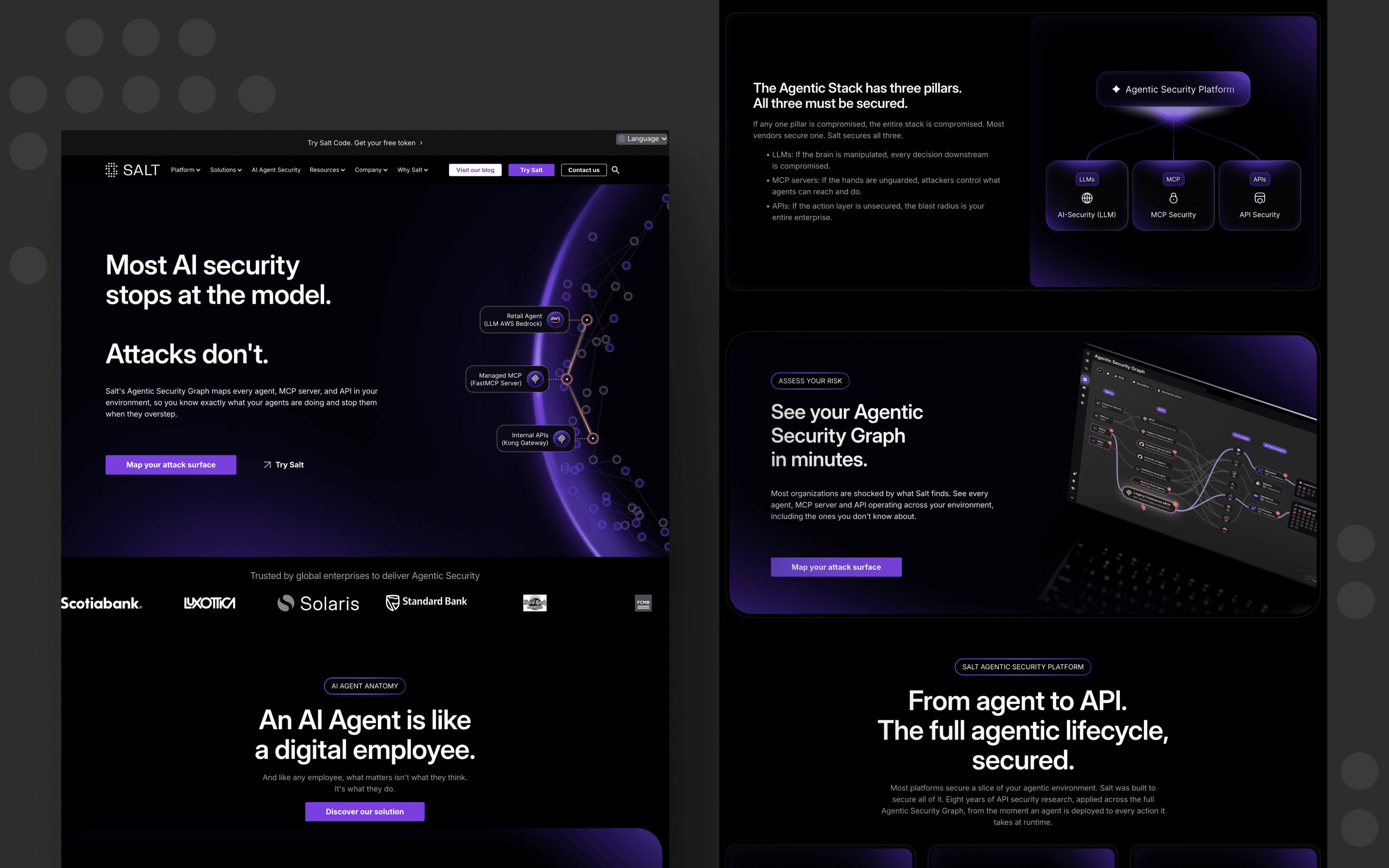 Salt homepage design