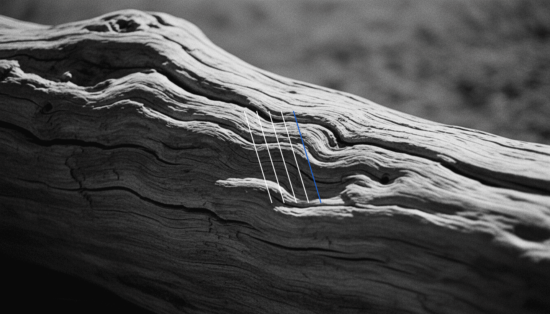 Sanity Webhooks & Functions: Serverless Automation