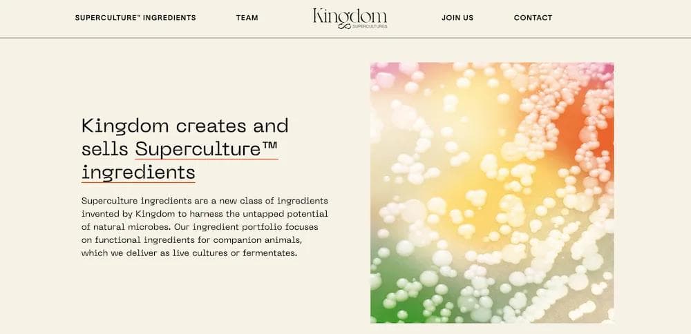 kingdom superculture homepage Website banner for Kingdom, showcasing their Superculture™ ingredients for companion animals with a colorful abstract background.