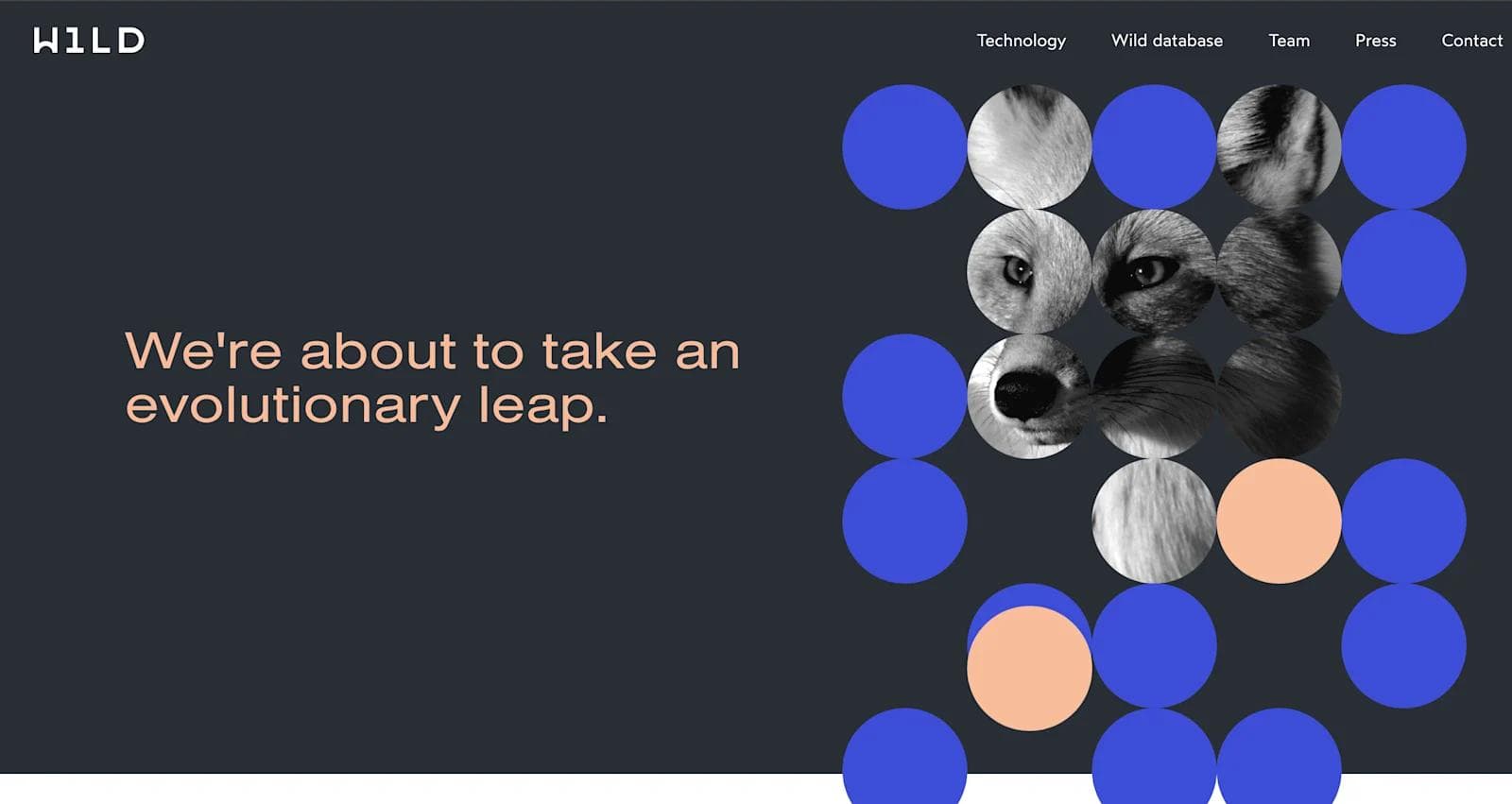 wild bio homepage Homepage design featuring animal images and the text "We're about to take an evolutionary leap" on a dark background.