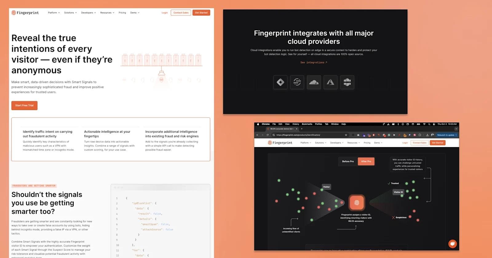 fingerprint Screenshot of a website showcasing Fingerprint's fraud prevention and visitor identification features.