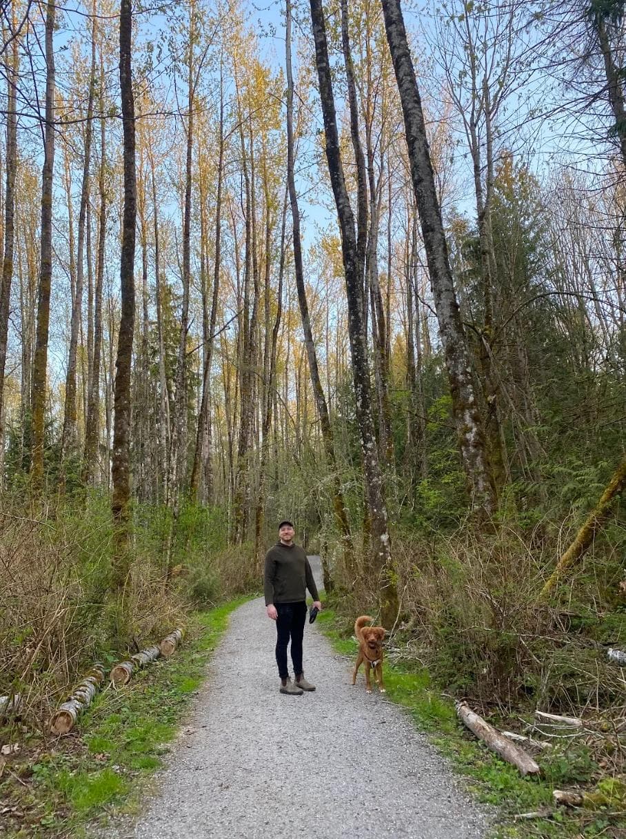 Joel BTB Picture 1 A person and a dog walk along a gravel path in a forest with tall trees and clear blue skies.
