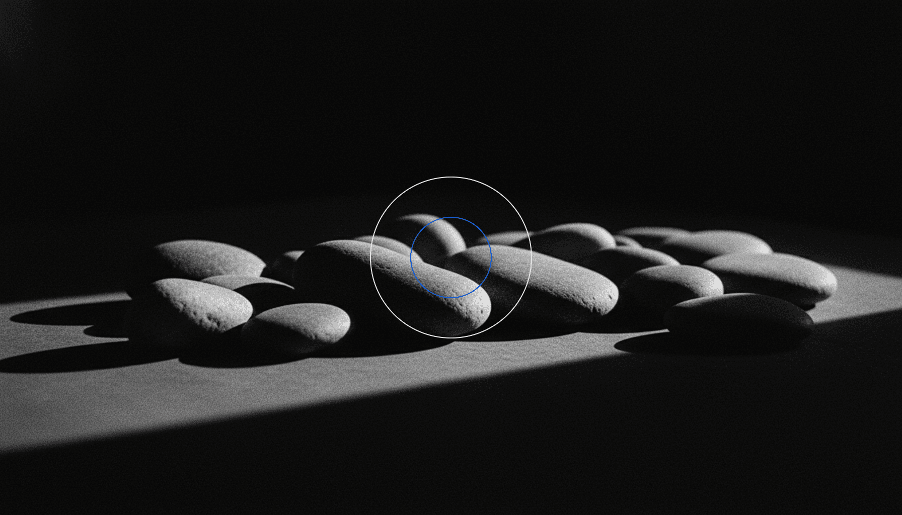 Sanity CMS: The Developer-First Platform Powering Modern B2B Websites