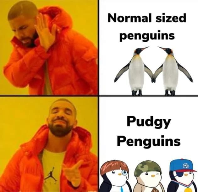 Pudgy Penguins Drake Meme Drake Meme with normal-sized penguins compared to pudgy penguins, and Ethereum generative NFT project sold on OpenSea.