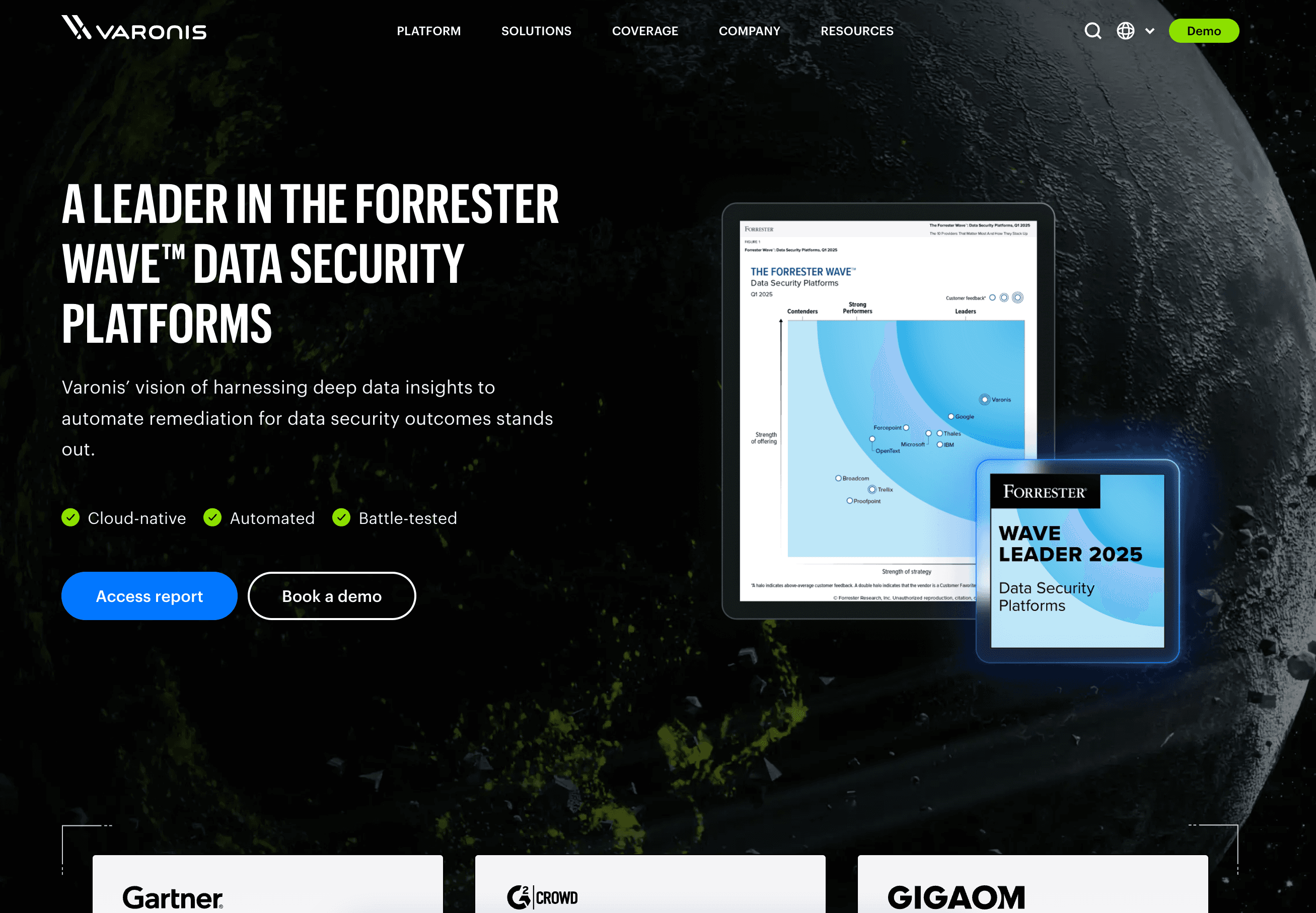 Website image 7